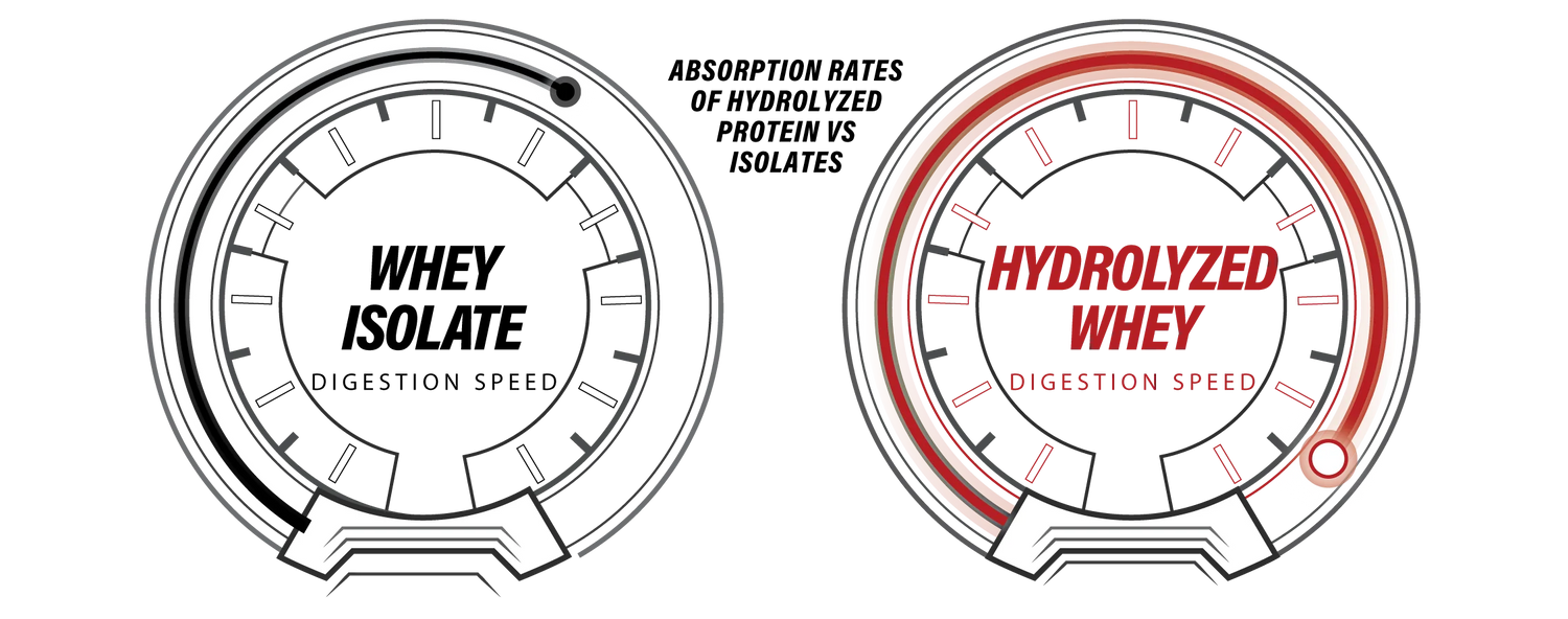 Lightspeed Muscle Building