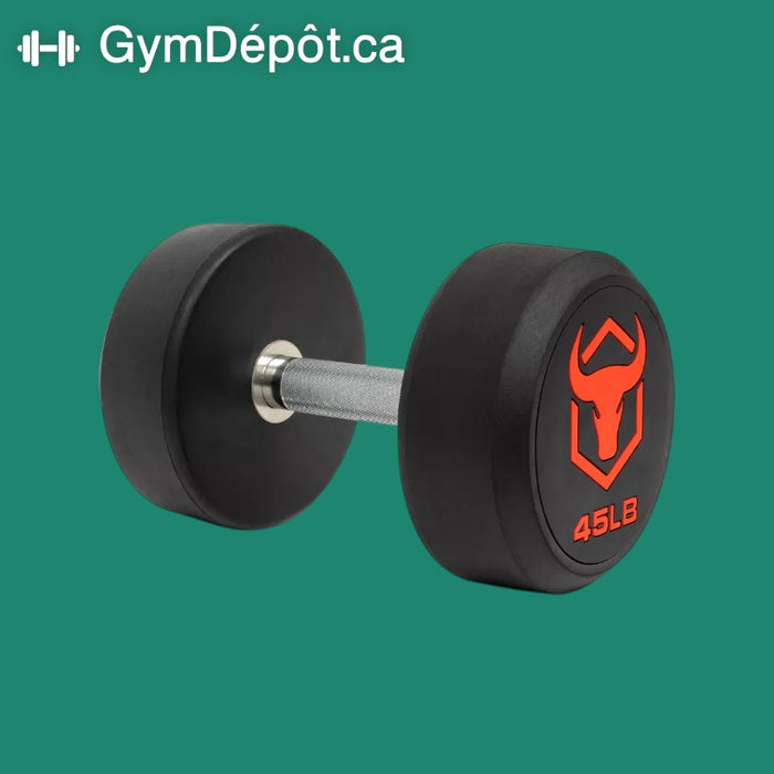 IronBull Premium Dumbbells