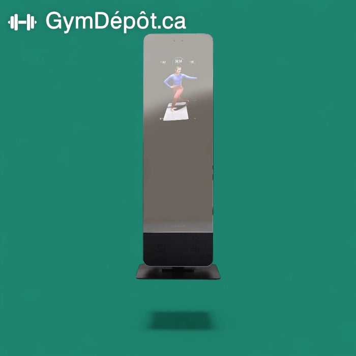 ProForm Vue Fitness Mirror