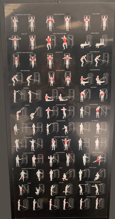 Entraîneur fonctionnel ALTAS AL-3073