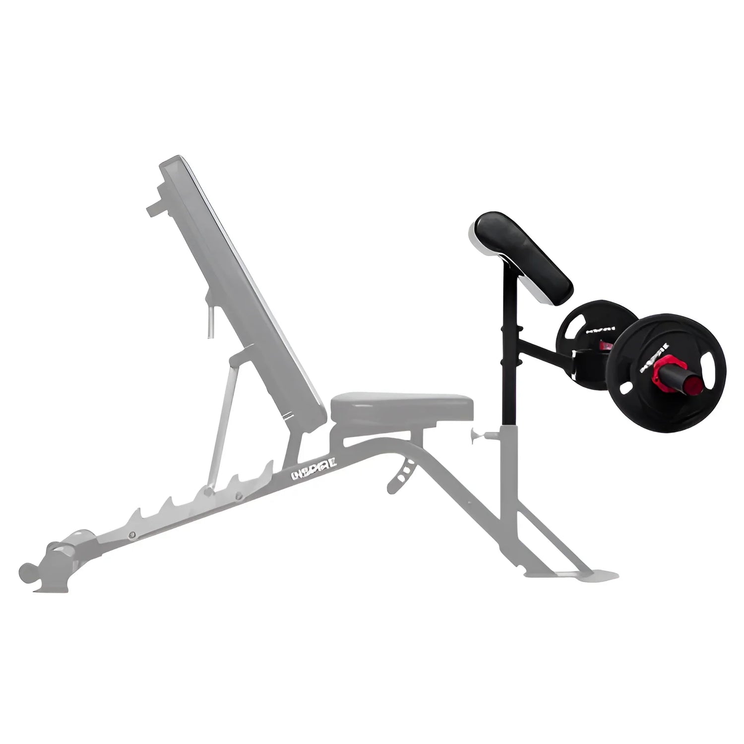 Inspire Preacher Curl Attachement