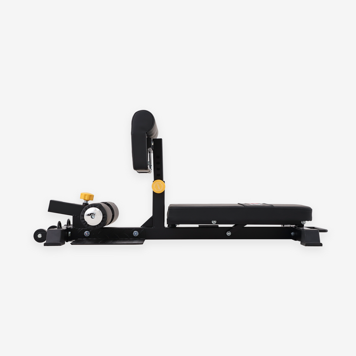 Station de sissy squat semi-commerciale Altas AL-6005B