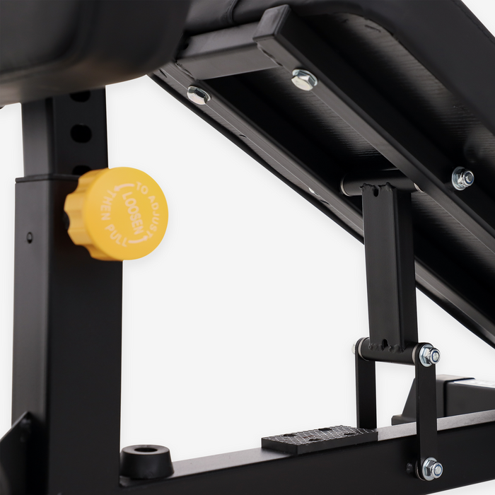 Station de sissy squat semi-commerciale Altas AL-6005B