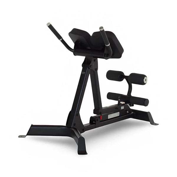 Banc d'hyperextension 45/90 — Inspire Fitness