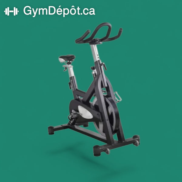 HMC 5008 Indoor Bike